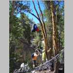 Jim and Brian hanging the food bags at Camp Dingleberry