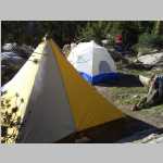 Camp Dingleberry