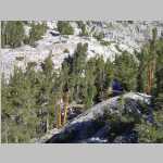 Camp Dingleberry