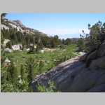 meadow