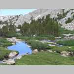 pond