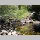 Small pool of Granite Creek flowing