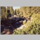 Pine Creek