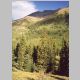 Base Camp Spartan panorama 1/2. Elevation 10700 ft. Mt Oxford (14153 ft)