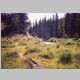 Pine Creek