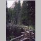 Beaver Pond