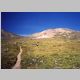 Mt Massive trail