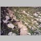 Can you find all three ptarmigans?