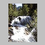 Just up the trail
