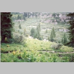 Mountain goats on trail from Chicago Basin
