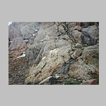 Goats at Twin Lakes (have I mentioned there were lots of goats here?)