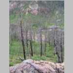 Fire damage