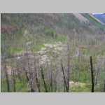 Fire damage