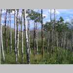 The hike to basecamp