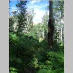 The hike to basecamp