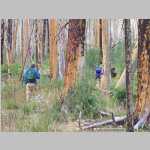 First dayhike into the Burnt Tree Desert