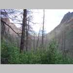Dayhikes into burnt woods