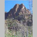 Nice peak with burnt trees