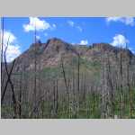 More scenic shots of burnt trees