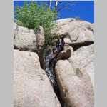 More scenic shots of burnt trees
