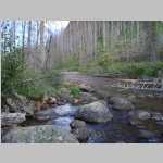 Red Canyon Creek
