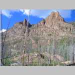 Scenic shots of burnt trees and Peaks