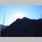Scenic shots of burnt trees and Peaks