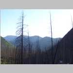 Scenic shots of burnt trees and Peaks