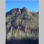 Scenic shots of burnt trees and Peaks