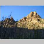Scenic shots of burnt trees and Peaks