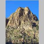 Scenic shots of burnt trees and Peaks