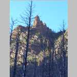 Scenic shots of burnt trees and Peaks