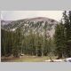 Swampy meadow at snowline