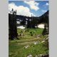 Alpine meadows