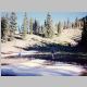 On the trail to Ute Pass