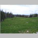 from the col to our trailhead many of the flowers are unidentified by me except for Snow Lilies, Marsh Marigold, and White Globeflower