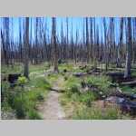 from trailhead to Big Creek Falls