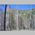 from trailhead to Big Creek Falls