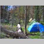 view of our 1st night's camp along Big Creek