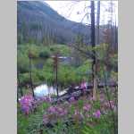 late afternoon hike back to Big Creek Falls