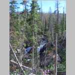 late afternoon hike back to Big Creek Falls
