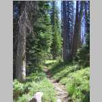 mellow hiking near "The Apex"