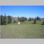 hiking along the Continental Divide, Jim and Brian