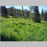 hiking along the Continental Divide