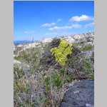 more walking along the Continental Divide