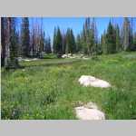hike up to Point 11,071'