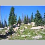 hike up to Point 11,071', Bob climbing up to 11,071'
