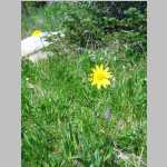 hike around the Seven Lakes area