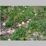 hike around the Seven Lakes area