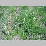 hike around the Seven Lakes area